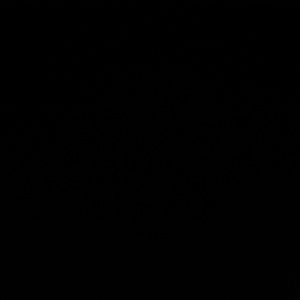 Meet your Posher, Luis